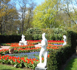 Blumenpracht im Keukenhof