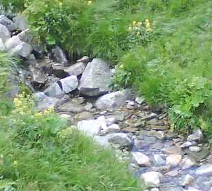 Tatrzański Park Narodowy