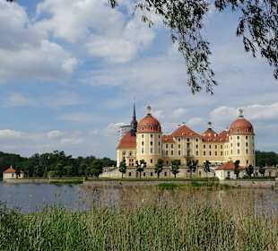 Schloss Moritzburg