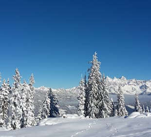 Sport & Freizeit