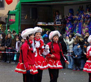 Nürnberger Faschingsumzug 21.02.