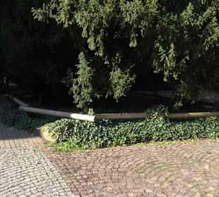 Alter Botanischer Garten