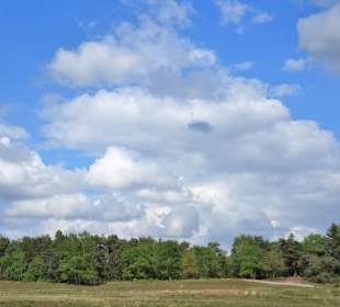 Heidelandschaft am Westufer der Talsperre
