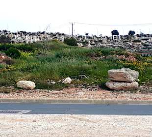 Ausblick Sculpturenpark