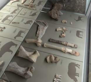 Archäologisches Museum