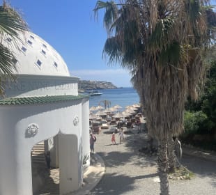 Strand Oasis 