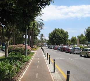 Fahrradweg von El Arenal bis Palma