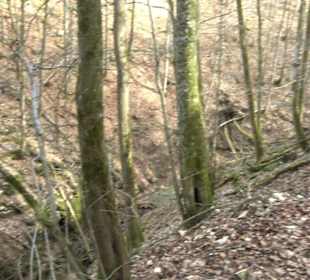 Premiumwanderweg Hohenwittlingensteig