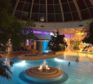 Unsere Wasserwelt nach der Deckenkranzsanierung