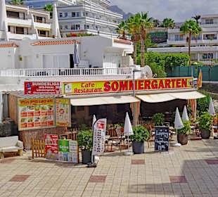 Aussicht auf Sommergarten