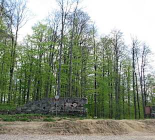 Western gateway at  Sarmizegetusa regia
