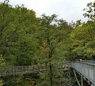 Baumwipfelpfad Harz