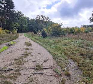 Untere Allerniederung bei Boye 