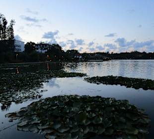 Lacul Neptun I