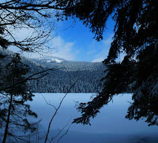 Ausflug Grosser Arbersee
