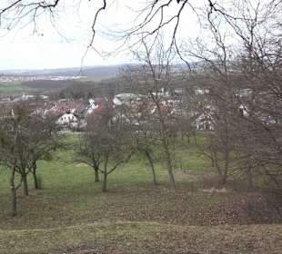 Geigersbühl Großbettlingen