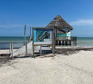 Holbox 