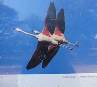 So sollte man sie sehen können