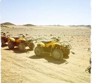 Quad Safari