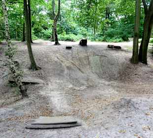 Der BMX-Trail in Pellens Park