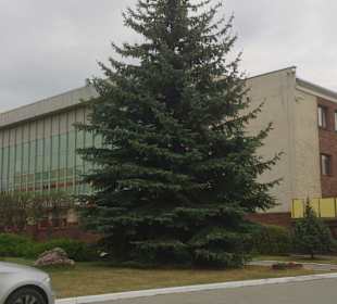 Hala sportowa 
