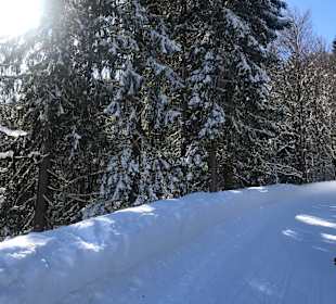Wandern Dienten