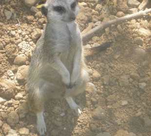 Bin ich nicht hübsch?