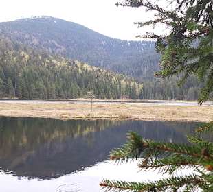 Wandern Drachselsried