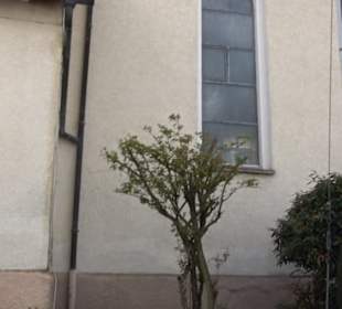 Kirche St. Johannes der Täufer Beuren