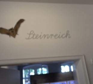 Museum Natur und Mensch