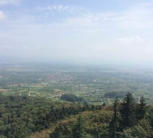 Ausblick