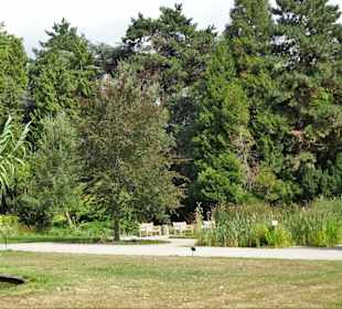 Rundgang durch den Botanischen Garten