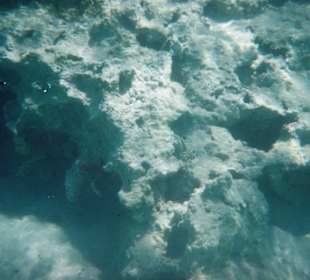 Schnorcheln in Sharm El Naga