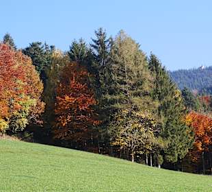 Wandern Winden im Elztal