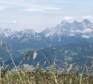 Blick auf den Dachstein 