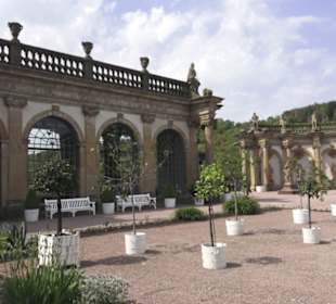Orangerie 