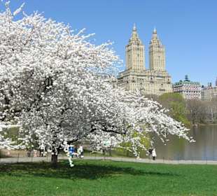 Central Park