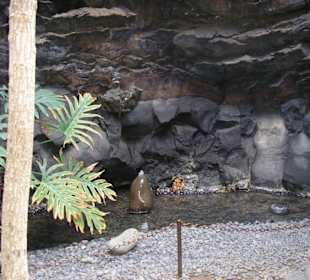 Brunnen vorm Zugang zu den Blasen