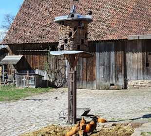 Auf dem Hof mit Taubenhaus