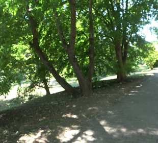 Schlosspark Hohenheim