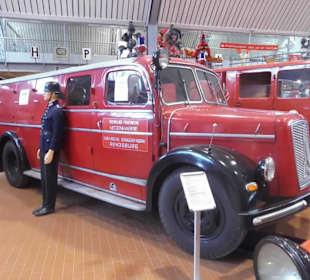 Mein Favorit, Omnibussoptik