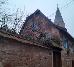  Johanneskirche in Wissembourg