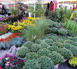 Eindrücke vom Wochenmarkt Südermarkt