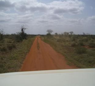 Tsavo ost