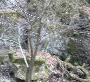 Wolfsschlucht