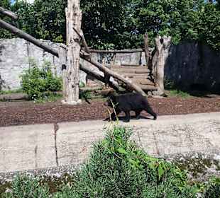 Zoo Wrocław