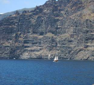 Los Gigantes
