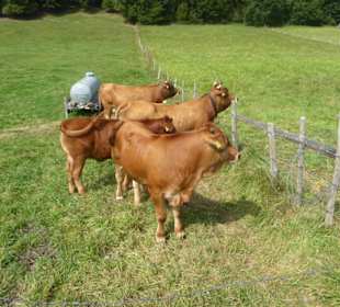 Wandern Murnau am Staffelsee