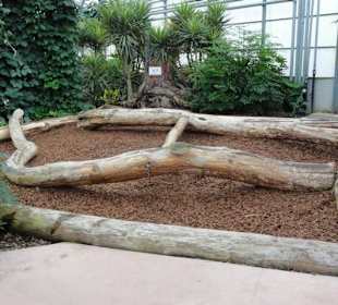 Raffeiner Orchideenwelt