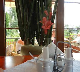 Restaurant Zloty Okon